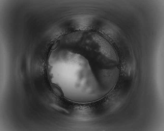 X0000085820503200703231400