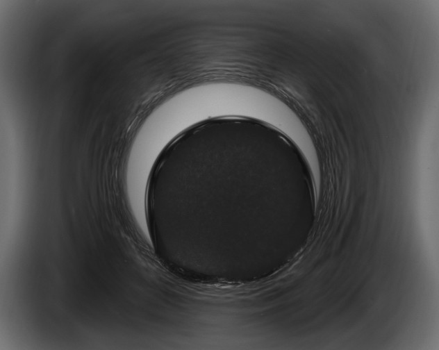 X0000085820504200703231400