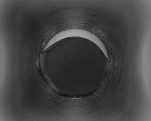 X0000085820508200703231400