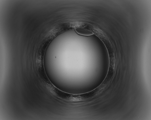X0000085820510200703231400