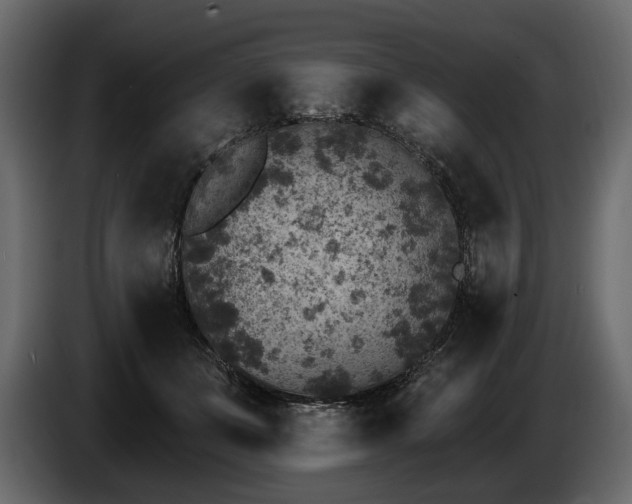 X0000085820511200703231400