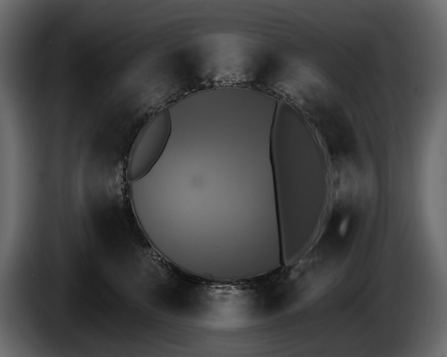X0000085820519200703231400