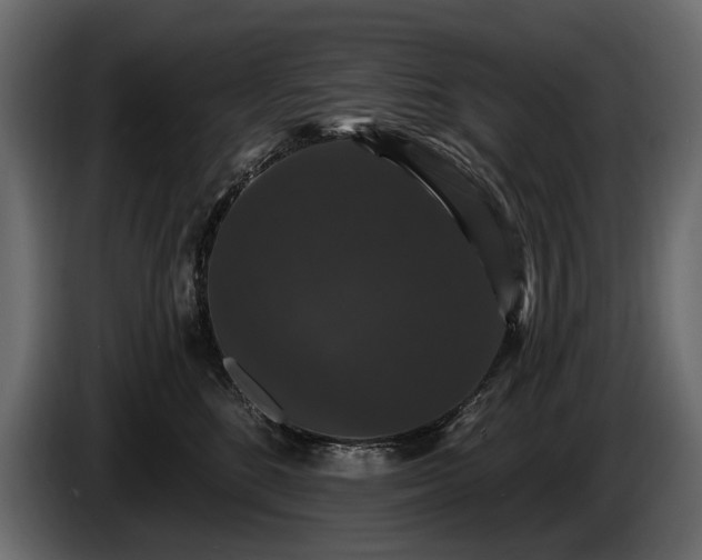 X0000085820520200703231400