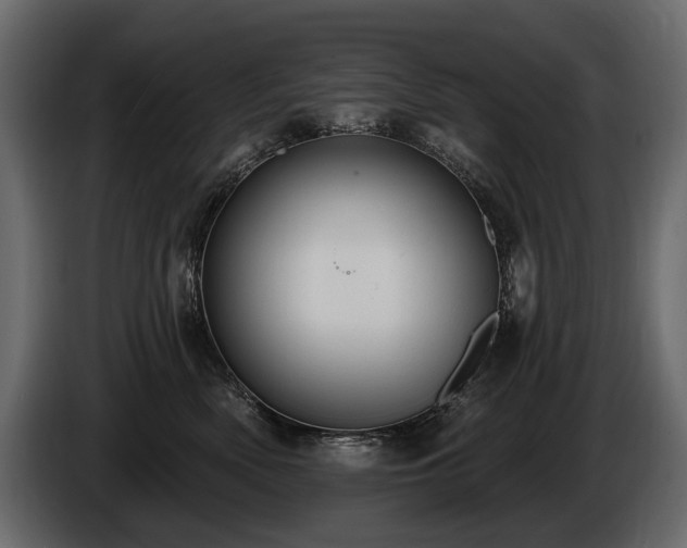X0000085820522200703231400
