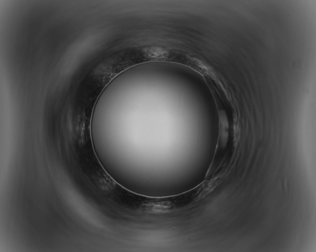 X0000085820525200703231400