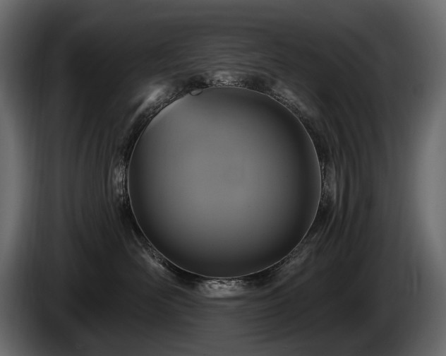 X0000085820526200703231359