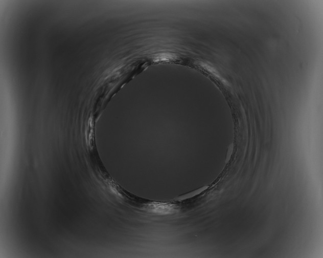 X0000085820528200703231359