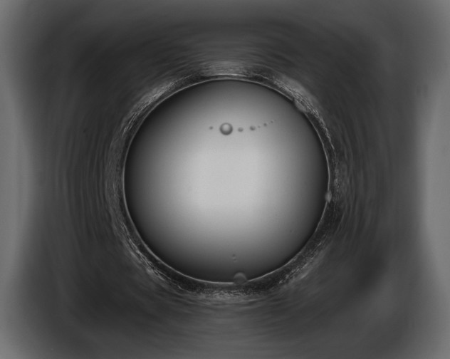 X0000085820529200703231359