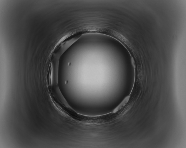 X0000085820530200703231359