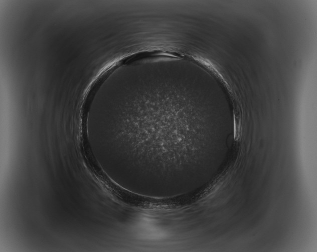 X0000085820531200703231359