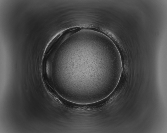 X0000085820532200703231359
