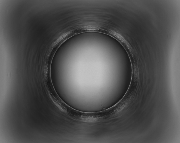 X0000085820533200703231359