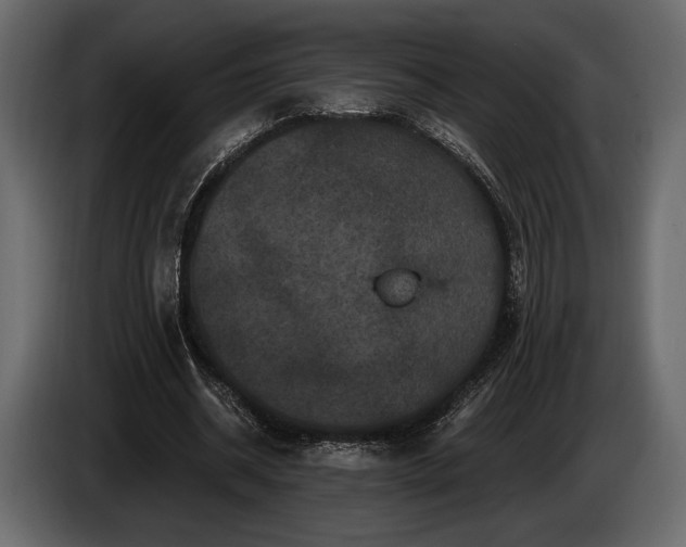 X0000085820534200703231359