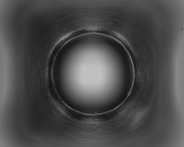 X0000085820535200703231359