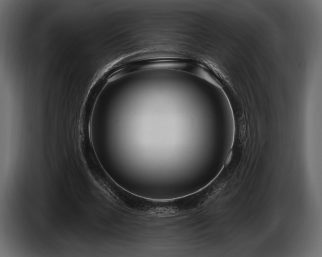 X0000085820536200703231359