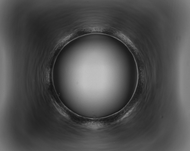 X0000085820537200703231359