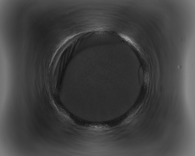 X0000085820540200703231359