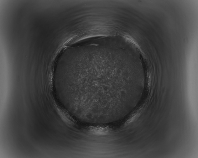 X0000085820542200703231359