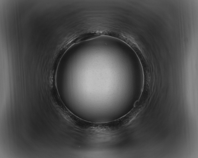 X0000085820545200703231359