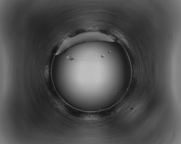 X0000085820549200703231359