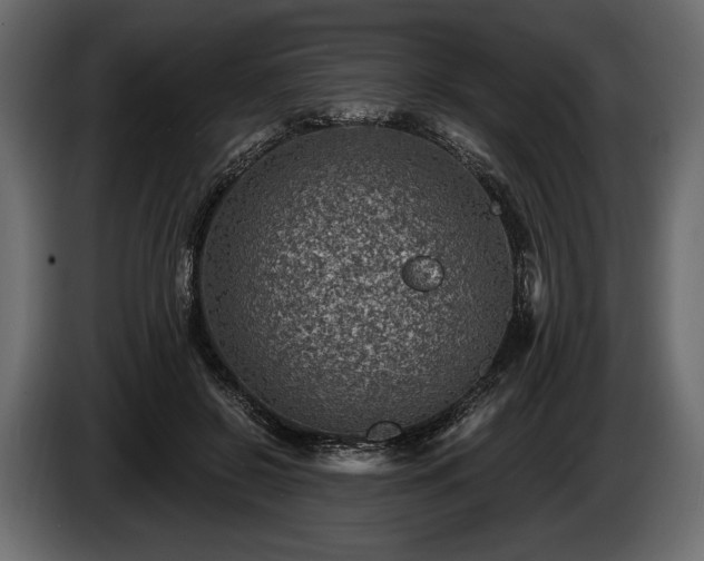 X0000085820550200703231359