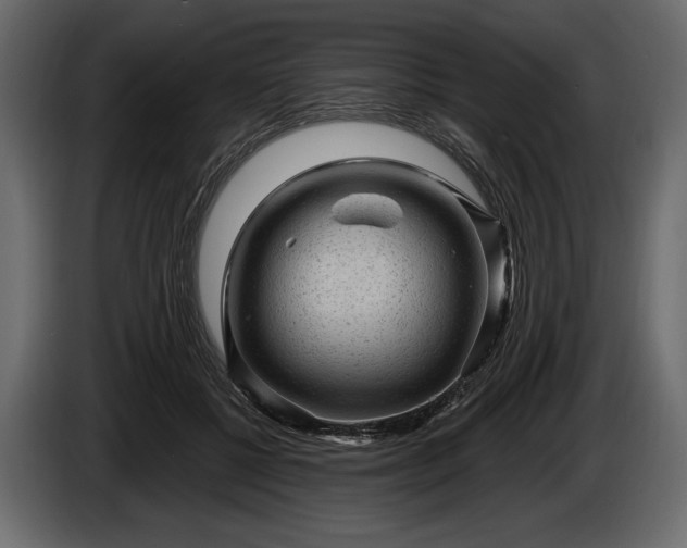 X0000085820552200703231359