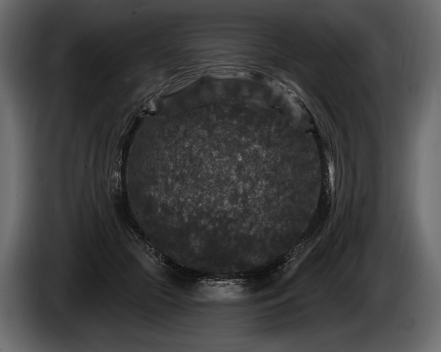X0000085820553200703231359