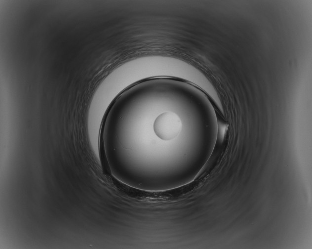 X0000085820556200703231359