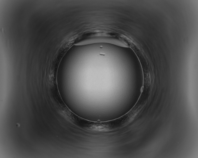 X0000085820557200703231359
