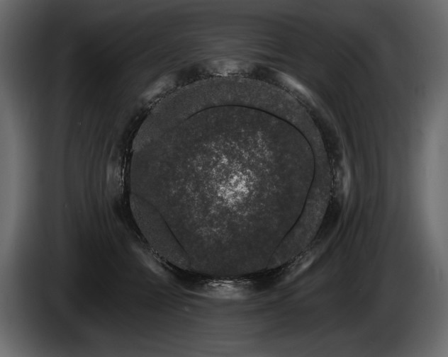 X0000085820558200703231359