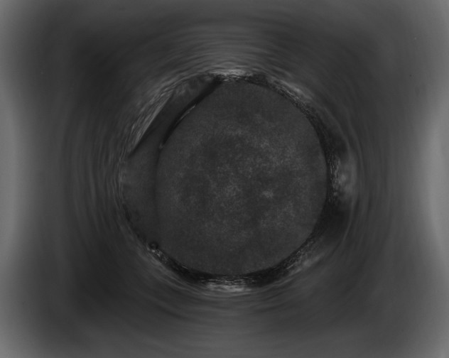 X0000085820559200703231359