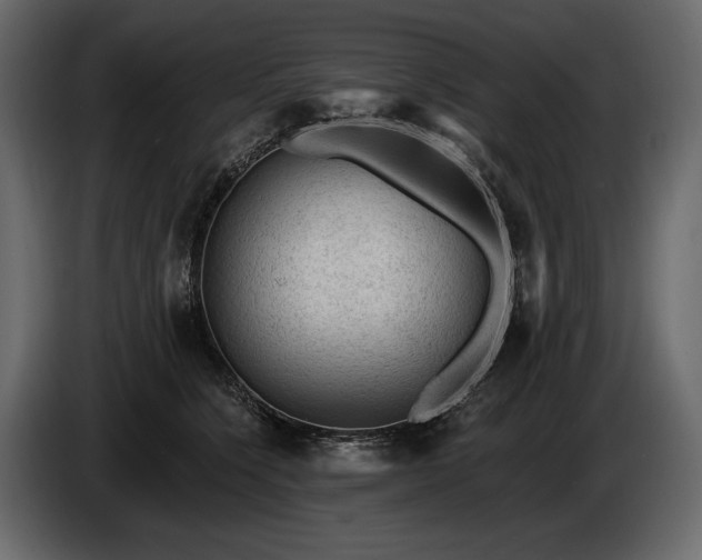 X0000085820564200703231359