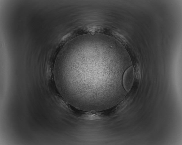 X0000085820569200703231359
