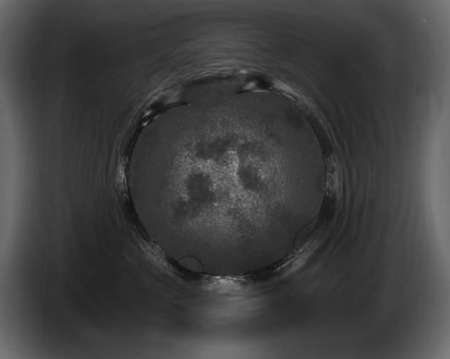 X0000085820573200703231359