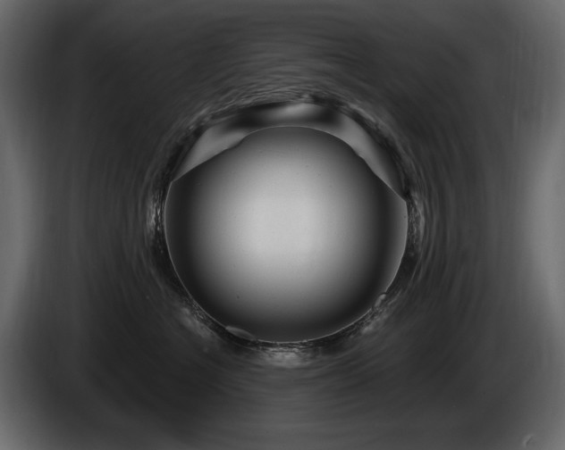 X0000085820574200703231359