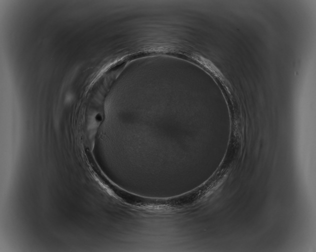 X0000085820577200703231359
