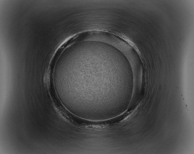 X0000085820580200703231359