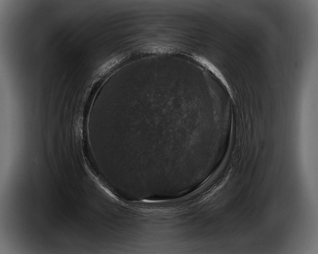 X0000085820581200703231359