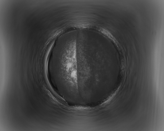 X0000085820585200703231358