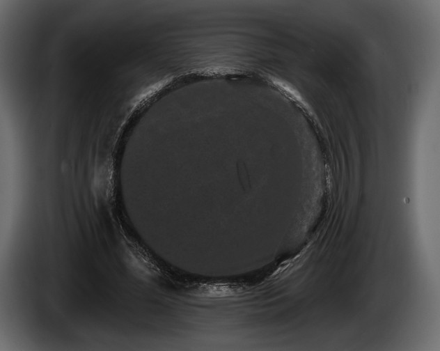 X0000085820588200703231358