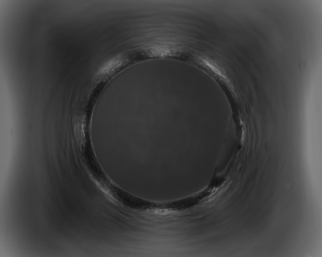 X0000085820590200703231358