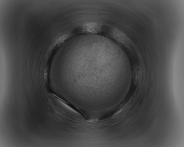 X0000085820595200703231358