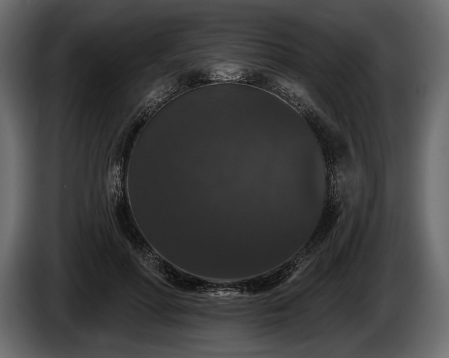 X0000085820598200703231358