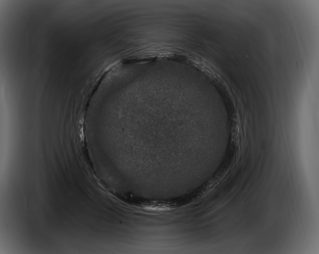 X0000085820604200703231358