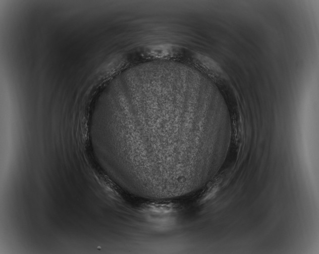 X0000085820606200703231358