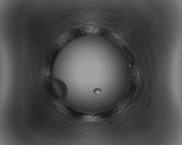 X0000085820614200703231358