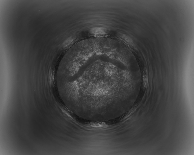 X0000085820618200703231358