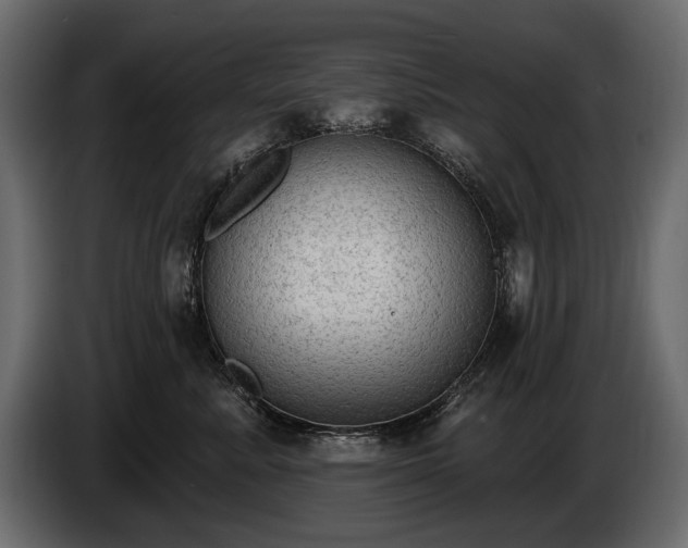 X0000085820619200703231358