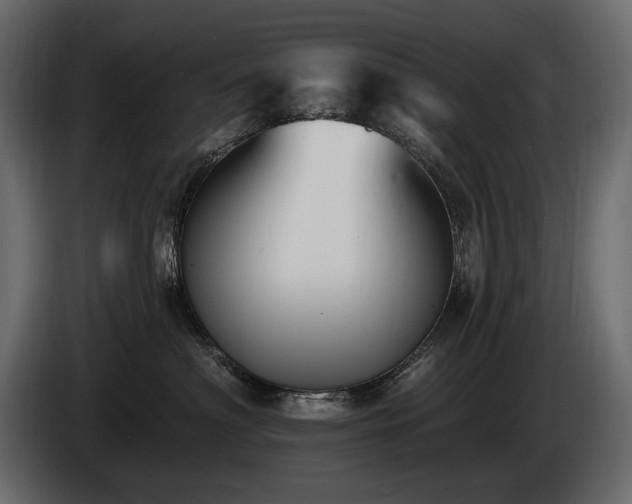 X0000085820622200703231358