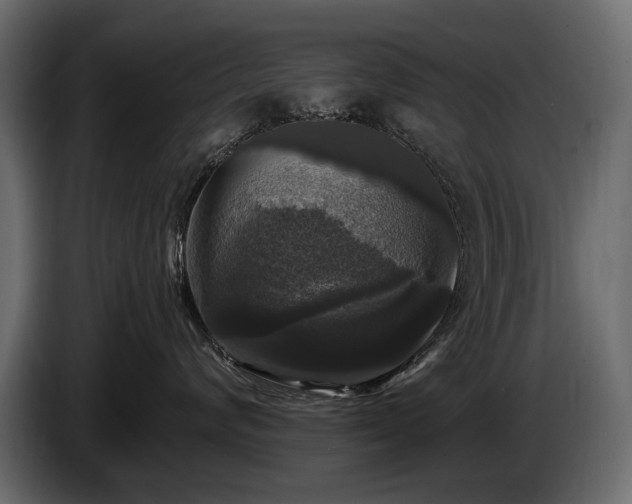 X0000085820624200703231358